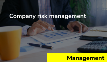 Company risk management [ULTIMATE GUIDE]